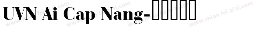 UVN Ai Cap Nang字体转换